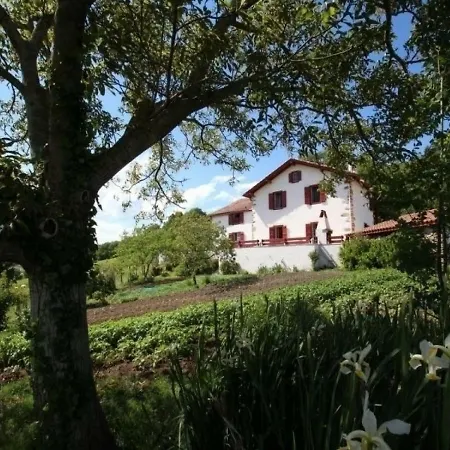 House Zamatelua 1 3 Nyaraló *